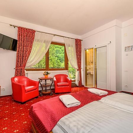 Panoramic Center Rooms Braşov Dış mekan fotoğraf